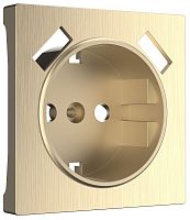 Лицевая панель Werkel для 1-м. розетки 220В+2хUSB шампань рифленый картинка